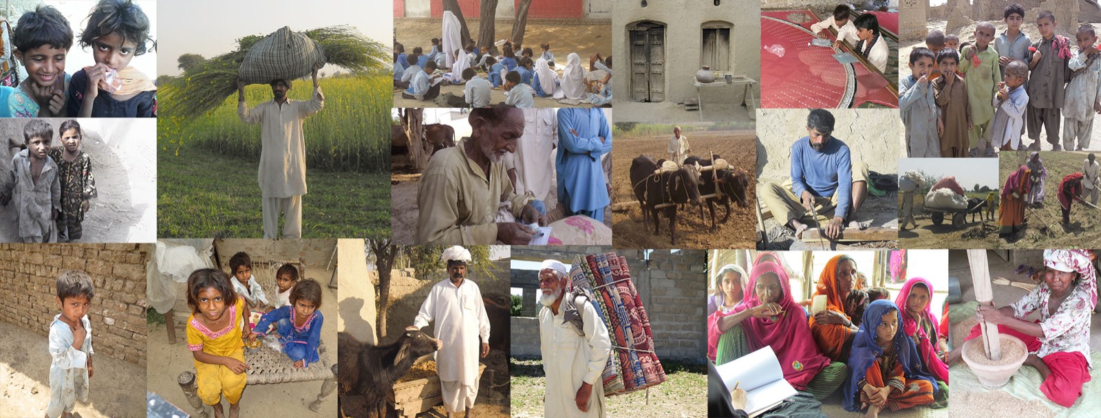 A collage of photographs from rural fieldwork: children outside village homes, a farmer carrying fodder through a mustard field, a class seated outdoors, a farmer ploughing with oxen, a craftsman at work, women and girls at a group meeting, and a woman pounding grain.